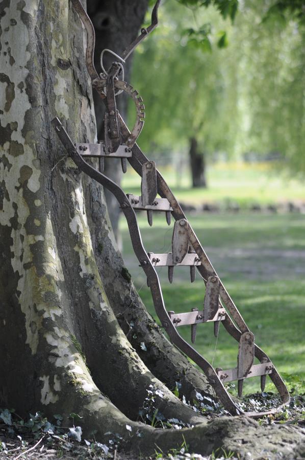 Domaine Ramonjavel, Glamping & Alpaca'S Bed & Breakfast Fongrave ภายนอก รูปภาพ