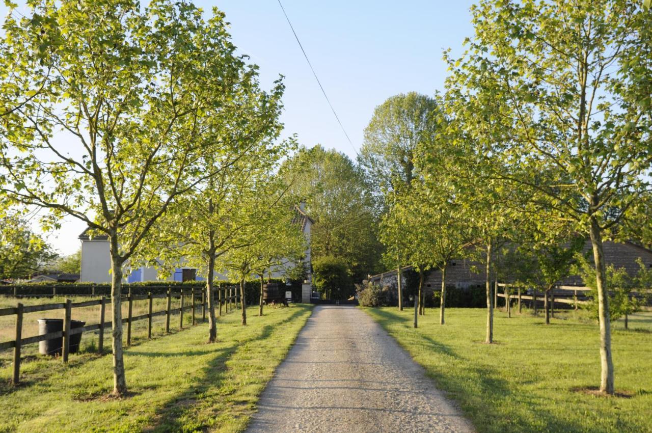 Domaine Ramonjavel, Glamping & Alpaca'S Bed & Breakfast Fongrave ภายนอก รูปภาพ