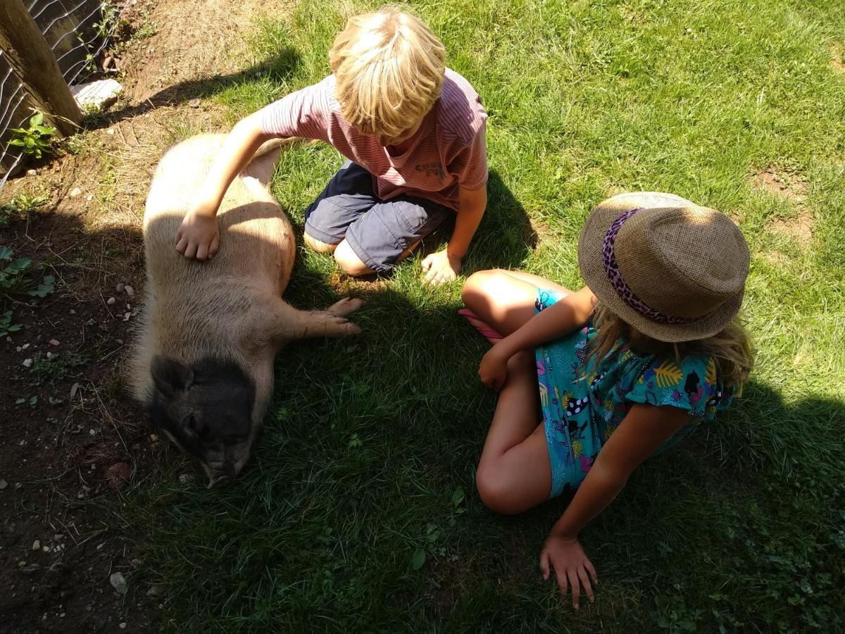 Domaine Ramonjavel, Glamping & Alpaca'S Bed & Breakfast Fongrave ภายนอก รูปภาพ