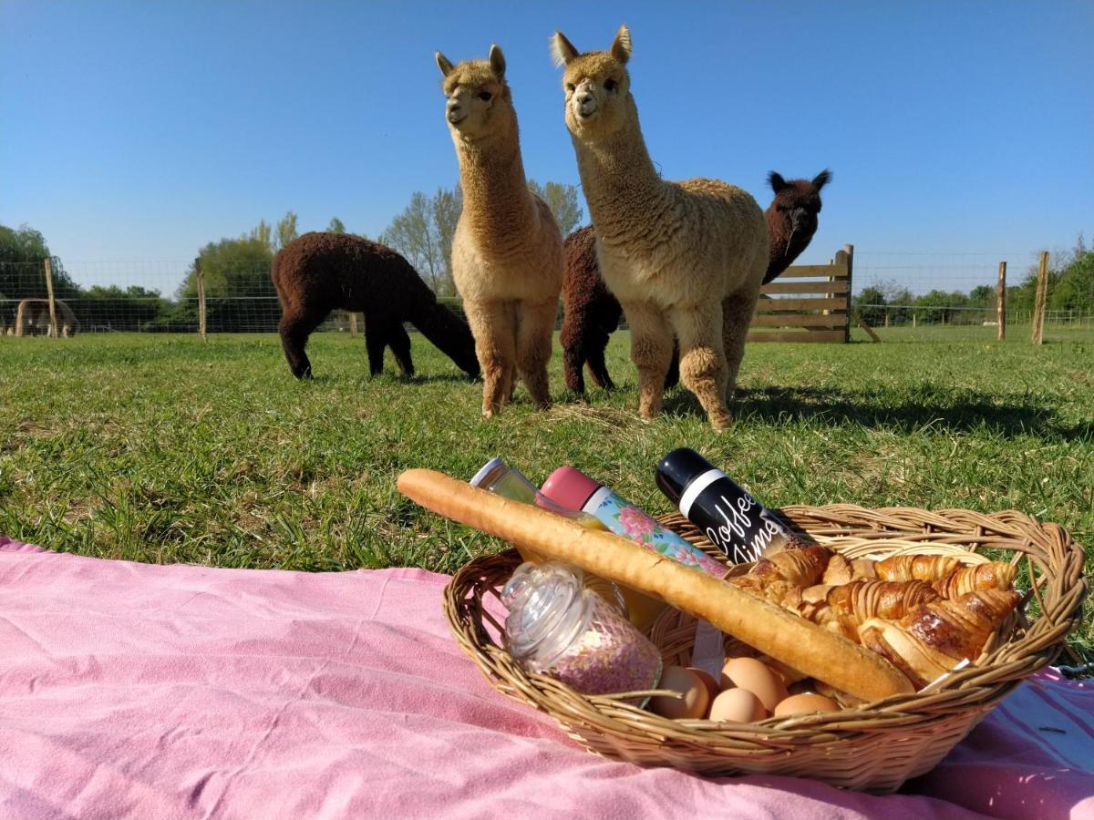 Domaine Ramonjavel, Glamping & Alpaca'S Bed & Breakfast Fongrave ภายนอก รูปภาพ