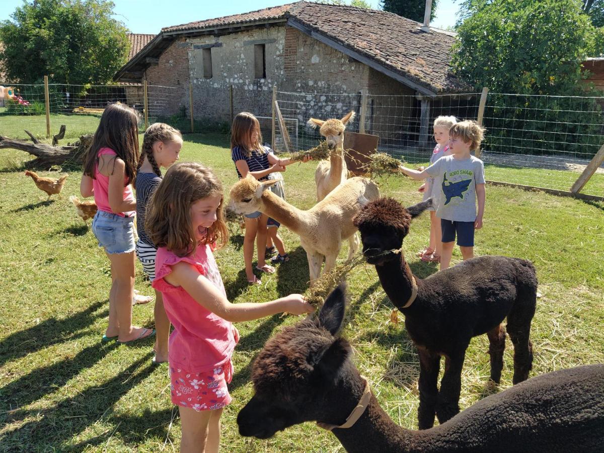 Domaine Ramonjavel, Glamping & Alpaca'S Bed & Breakfast Fongrave ภายนอก รูปภาพ