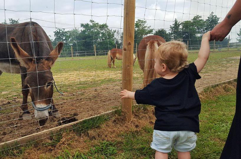 Domaine Ramonjavel, Glamping & Alpaca'S Bed & Breakfast Fongrave ภายนอก รูปภาพ